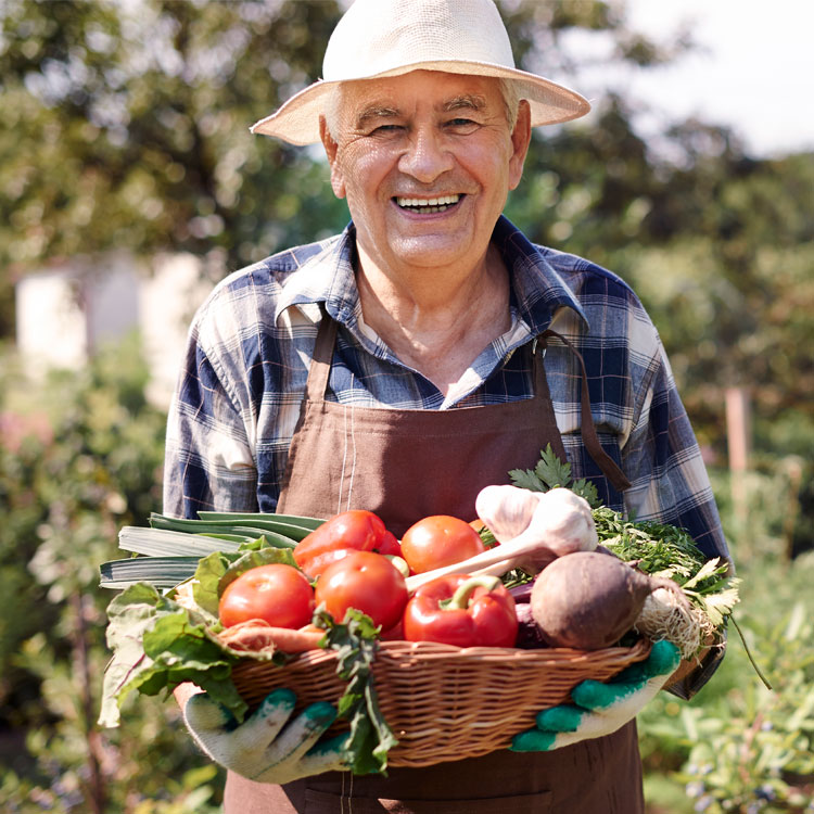 Hemos adoptado medidas más flexibles a las establecidas en el artículo 44 del Real Decreto-ley 11/2020 relacionadas con el aplazamiento del pago de facturas.