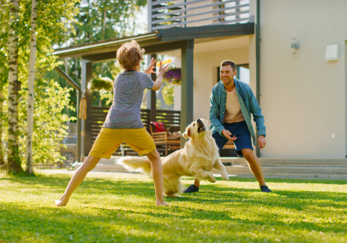 En CHC Energía tenemos un compromiso con el entorno, por lo que en nuestro #BlogCHC contamos qué se necesita para poner un jardín sostenible que cuide el medioambiente.